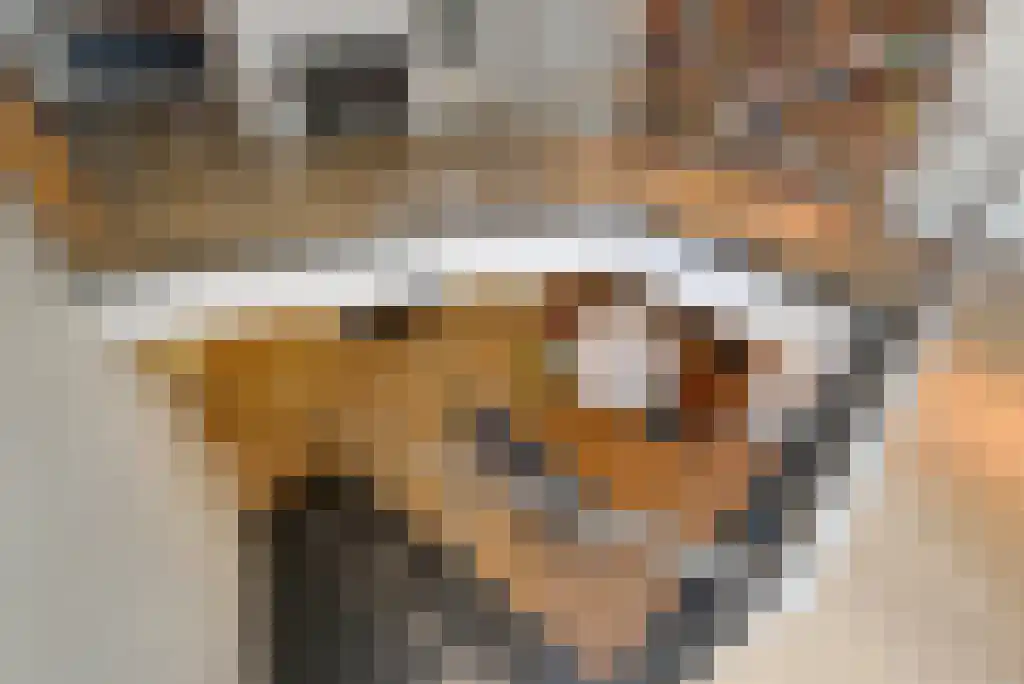 Laan van Roos en Doorn 35 N Den Haag thumbnail 32