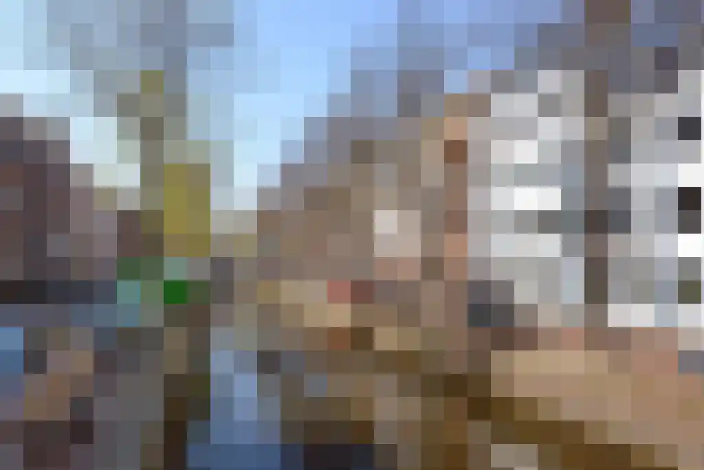 Laan van Roos en Doorn 35 N Den Haag thumbnail 42