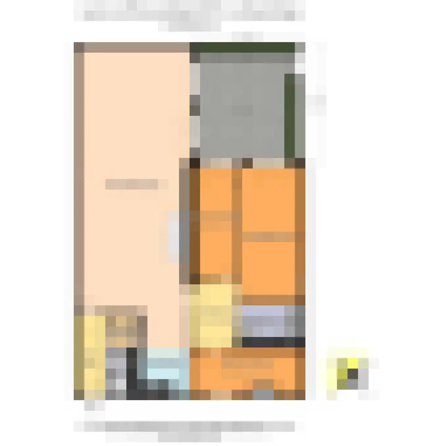 Laan van Roos en Doorn 35 N Den Haag thumbnail 46