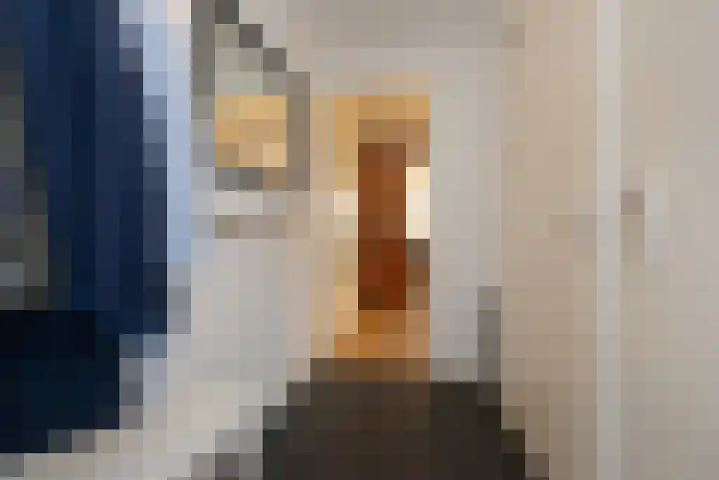 Laan van Roos en Doorn 35 N Den Haag thumbnail 5