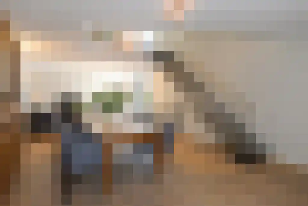 Laan van Roos en Doorn 35 N Den Haag thumbnail 6
