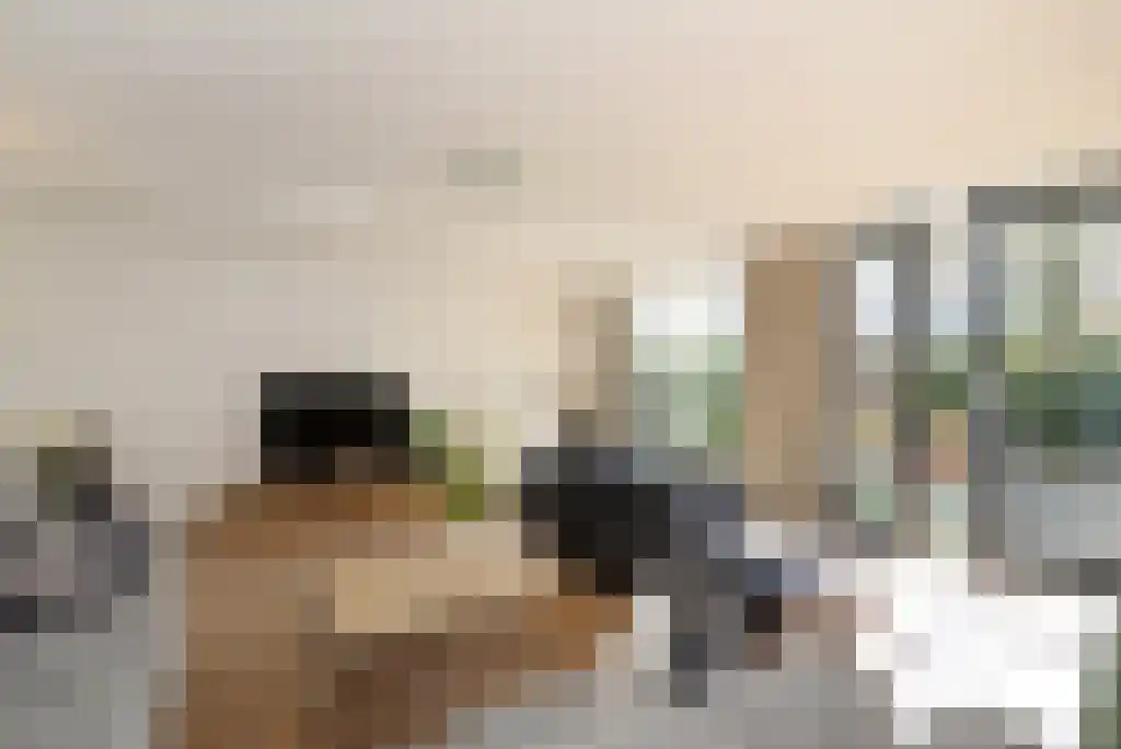 Laan van Roos en Doorn 35 N Den Haag thumbnail 9