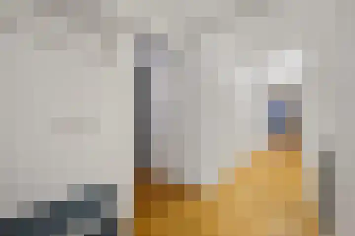 Laan van Roos en Doorn 37 E Den Haag thumbnail 10