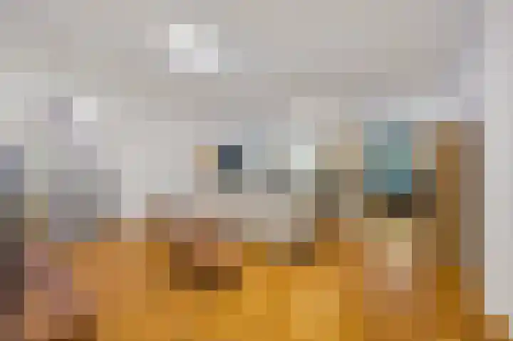 Laan van Roos en Doorn 37 E Den Haag thumbnail 11