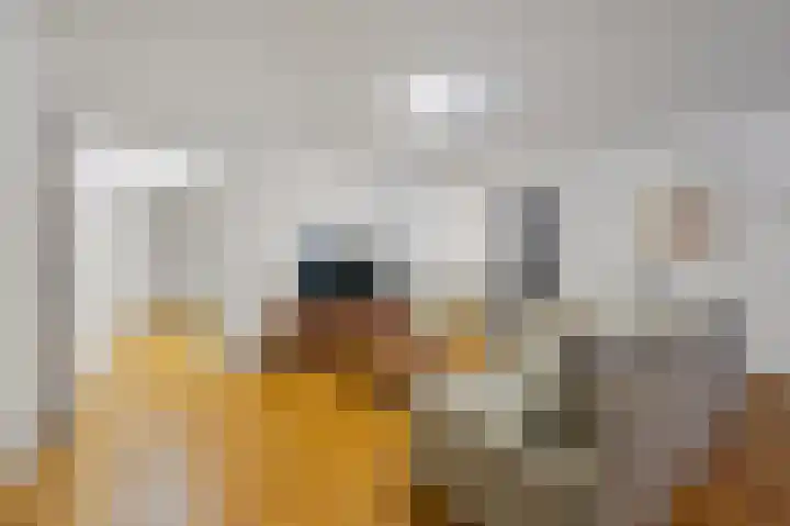 Laan van Roos en Doorn 37 E Den Haag thumbnail 12