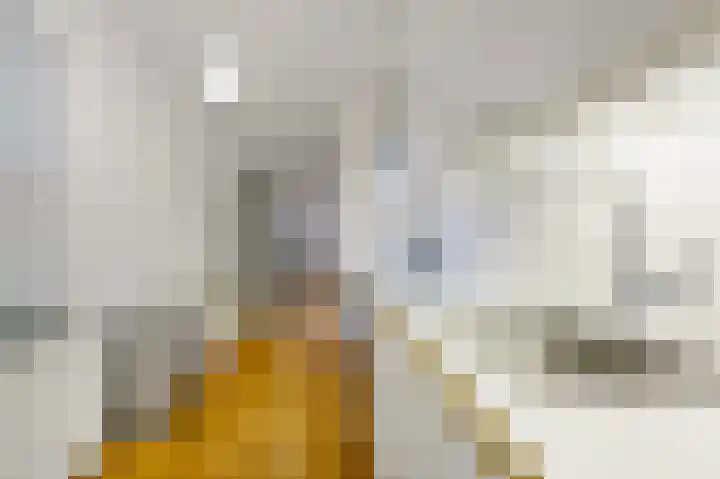 Laan van Roos en Doorn 37 E Den Haag thumbnail 21