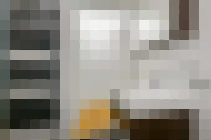 Laan van Roos en Doorn 37 E Den Haag thumbnail 24