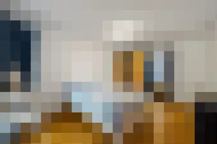 Laan van Roos en Doorn 37 E Den Haag thumbnail 28