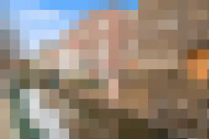 Laan van Roos en Doorn 37 E Den Haag thumbnail 30