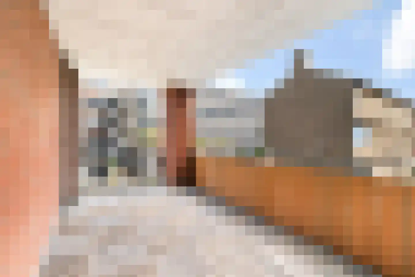 Laan van Roos en Doorn 37 F Den Haag thumbnail 13