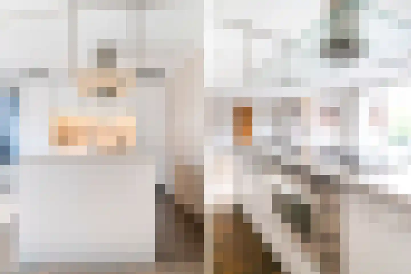 Laan van Roos en Doorn 37 F Den Haag thumbnail 7