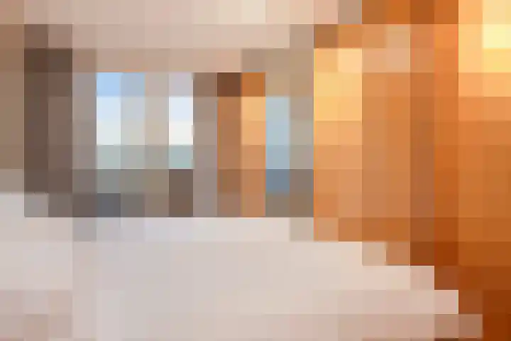 Laan van Roos en Doorn 39 E Den Haag thumbnail 15