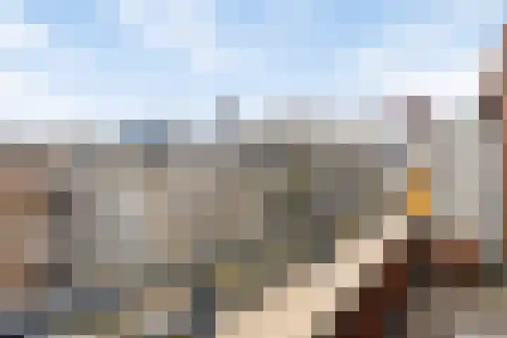 Laan van Roos en Doorn 39 E Den Haag thumbnail 22