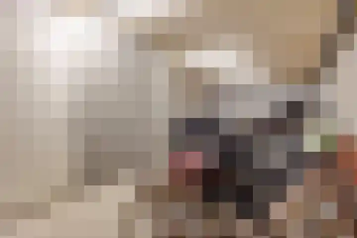 Laan van Roos en Doorn 39 E Den Haag thumbnail 25