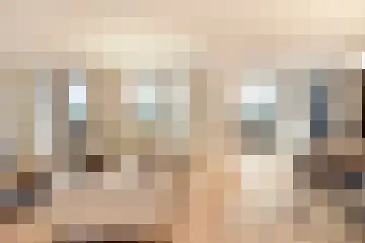 Laan van Roos en Doorn 39 E Den Haag thumbnail 8