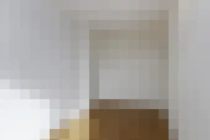 Laan van Roos en Doorn 39 P Den Haag thumbnail 20