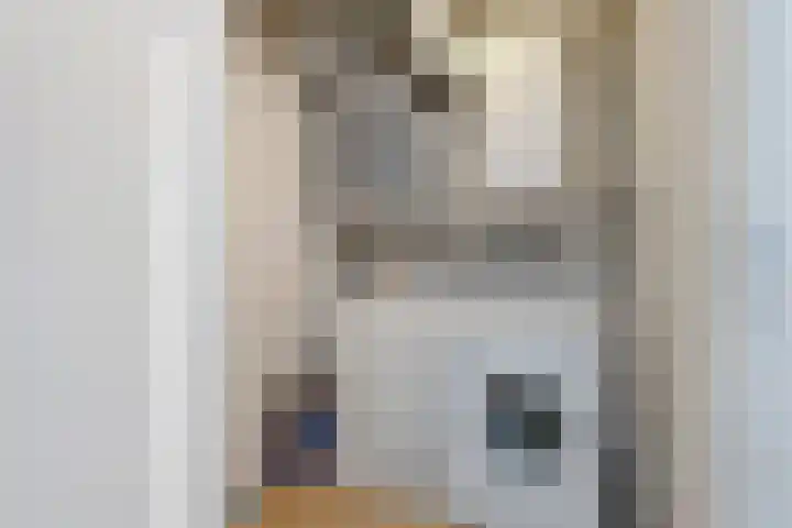 Laan van Roos en Doorn 39 P Den Haag thumbnail 27