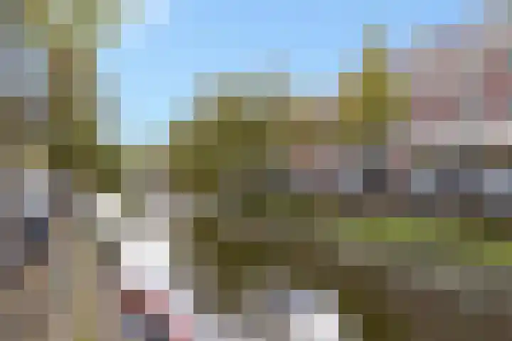 Laan van Roos en Doorn 39 P Den Haag thumbnail 30