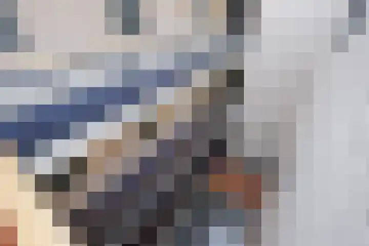 Laan van Roos en Doorn 39 P Den Haag thumbnail 4