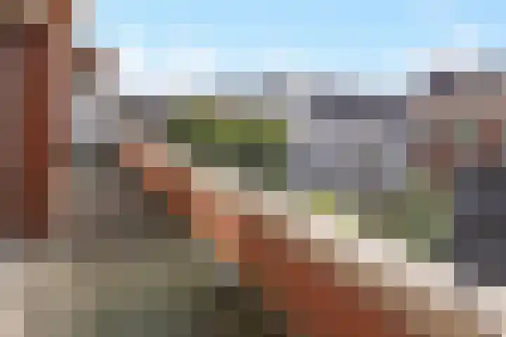 Laan van Roos en Doorn 39 P Den Haag thumbnail 9