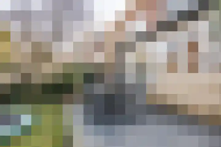 Laan van Rozenburg 12 Heemstede thumbnail 22