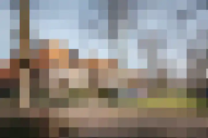 Laan van Rozenburg 12 Heemstede thumbnail 4