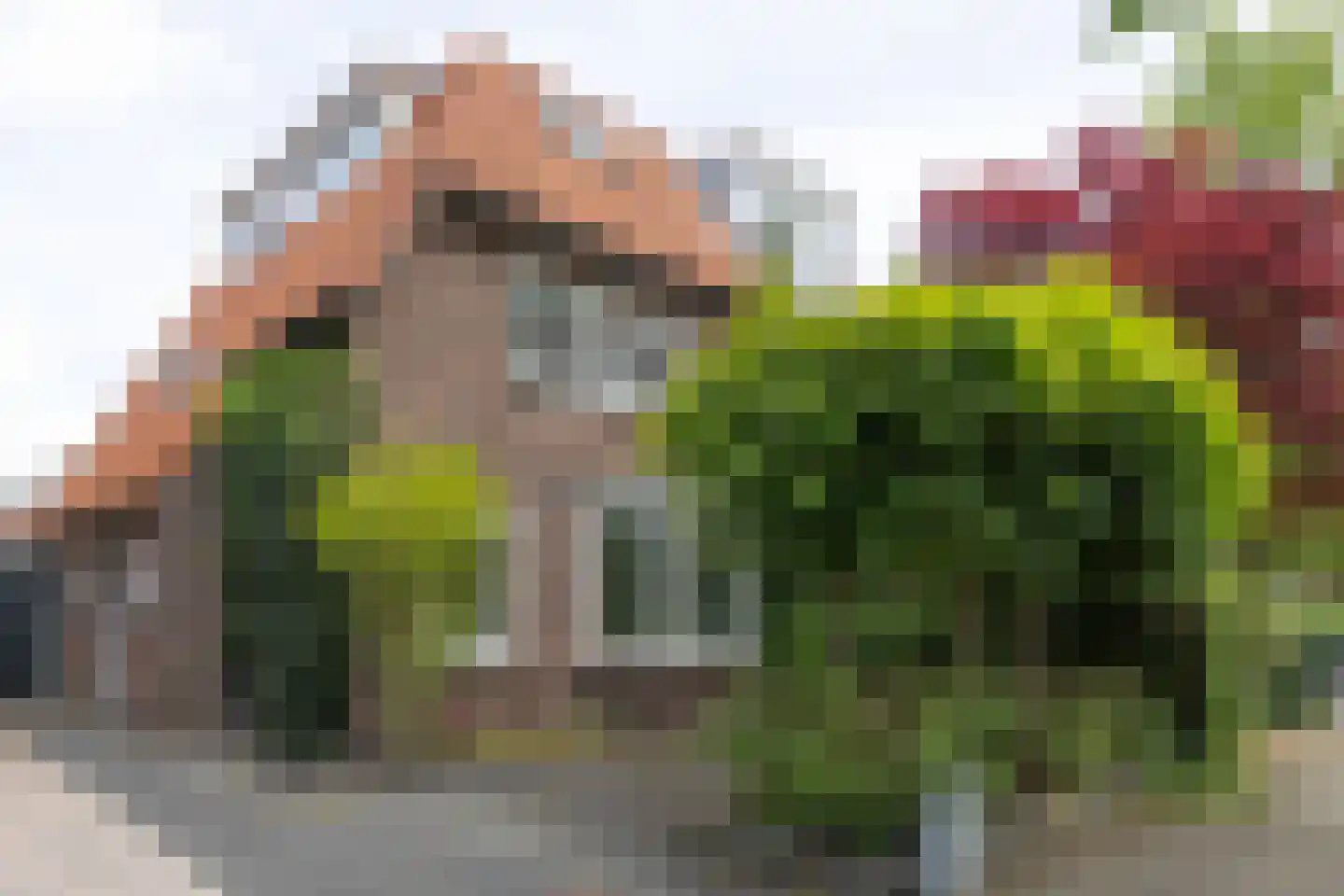Laan van Rozenburg 16 in Heemstede