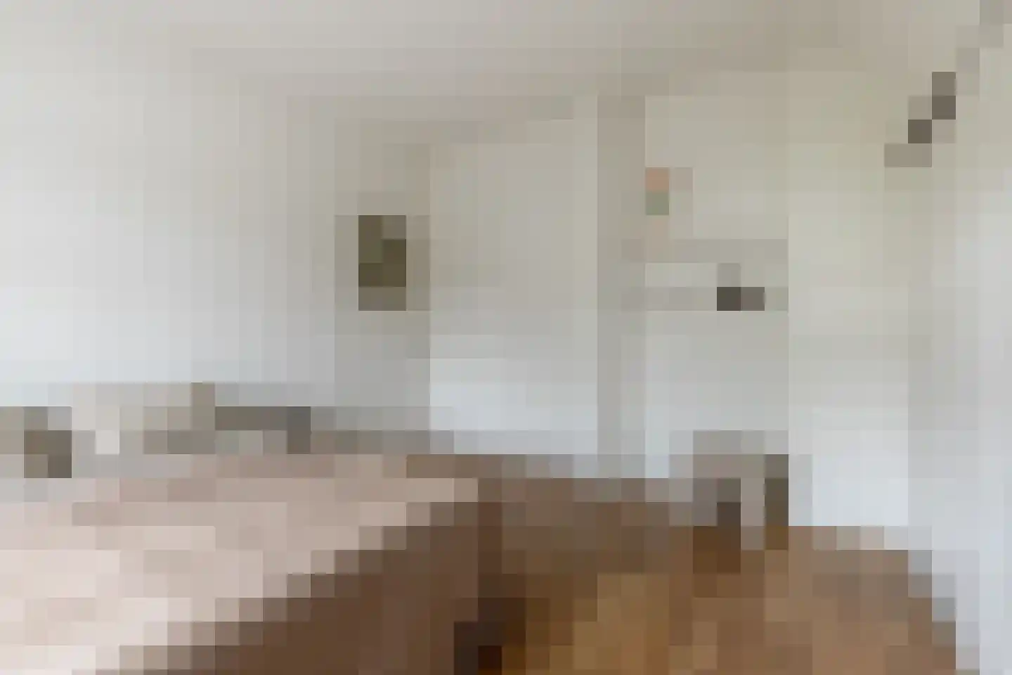 Laan van Rozenburg 16 Heemstede thumbnail 22