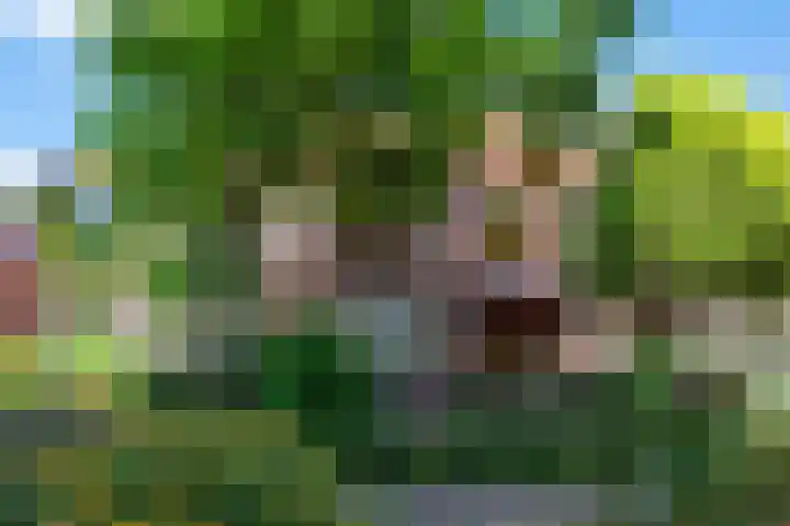 Laan van Rozenburg 20 dans Heemstede