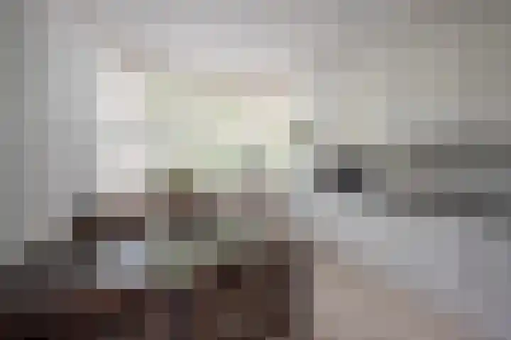 Laan van Rozenburg 20 Heemstede thumbnail 12