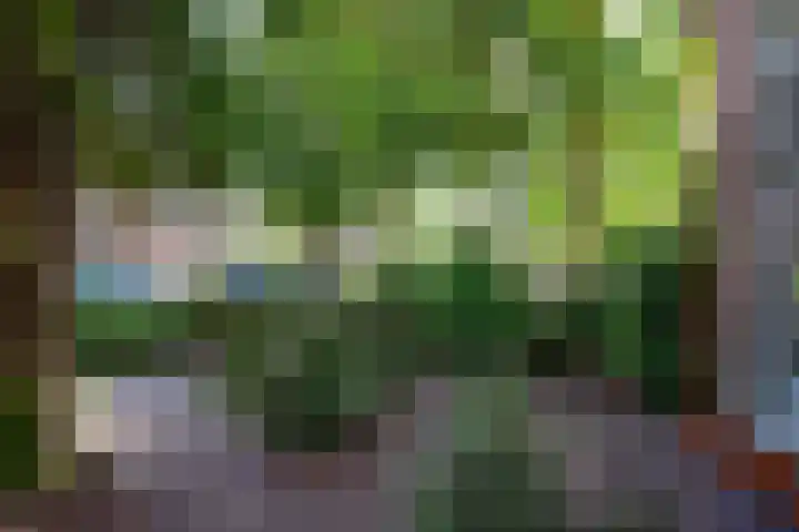 Laan van Rozenburg 20 Heemstede thumbnail 36