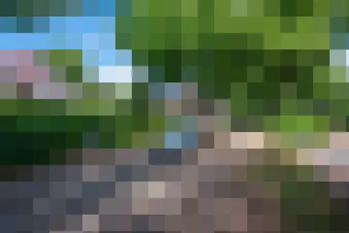 Laan van Rozenburg 20 Heemstede thumbnail 39