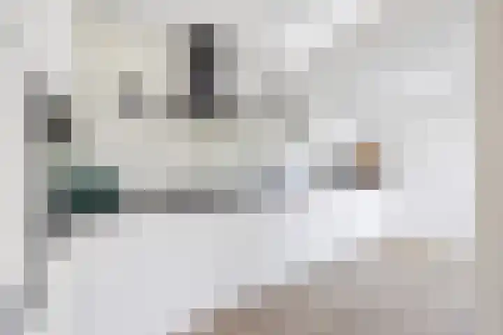 Laan van Rustenburg 10 Voorburg thumbnail 11