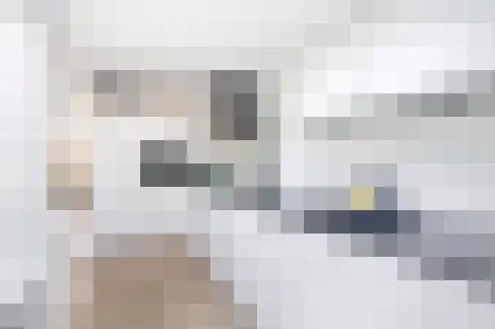 Laan van Rustenburg 10 Voorburg thumbnail 12