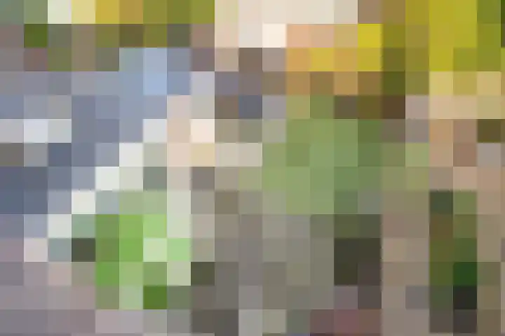 Laan van Rustenburg 10 Voorburg thumbnail 16