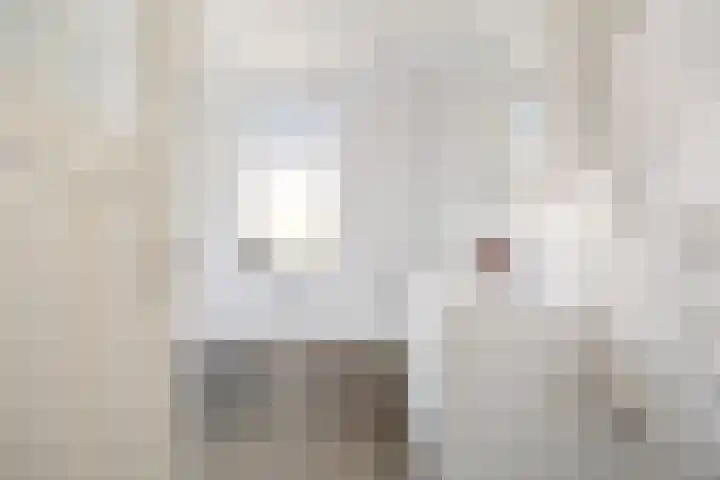 Laan van Rustenburg 10 Voorburg thumbnail 24