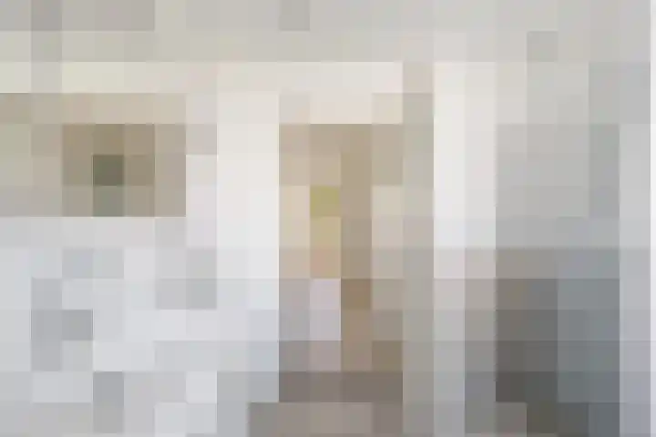 Laan van Rustenburg 10 Voorburg thumbnail 25