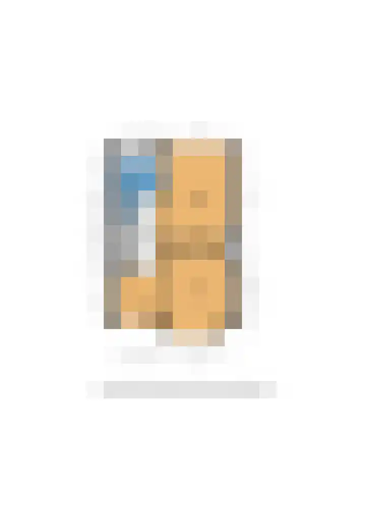 Laan van Rustenburg 10 Voorburg thumbnail 33