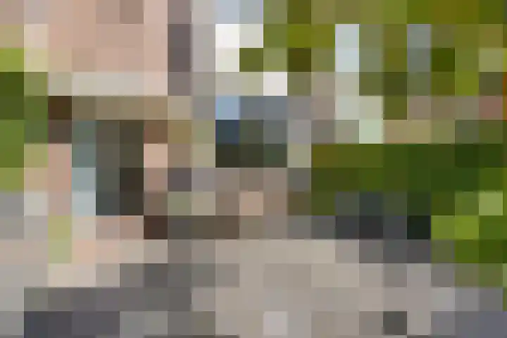 Laan van Rustenburg 10 Voorburg thumbnail 4