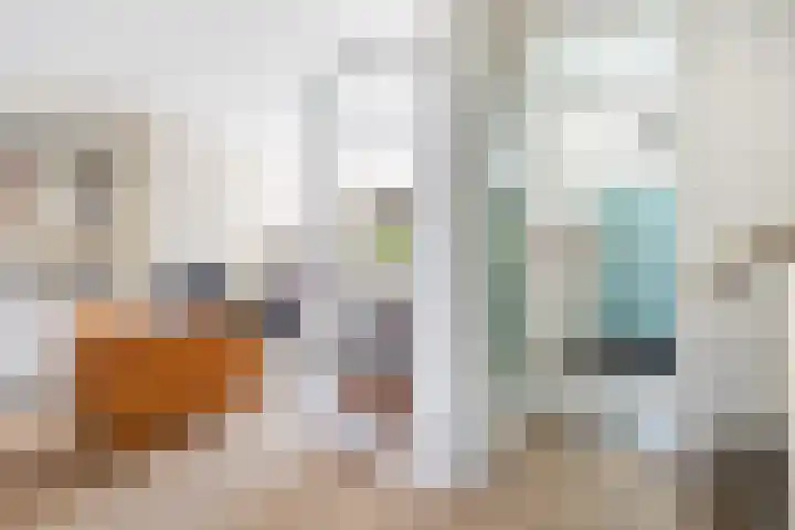 Laan van Rustenburg 10 Voorburg thumbnail 7