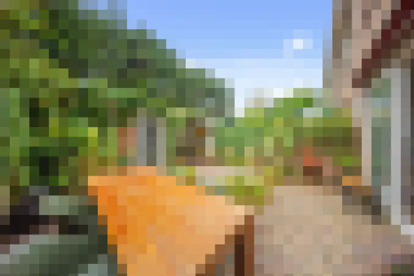 Laan van Rustenburg 18 Voorburg thumbnail 16