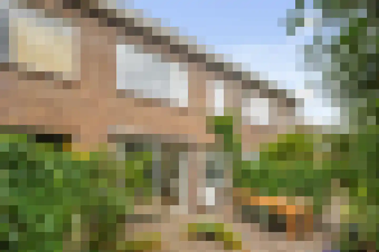 Laan van Rustenburg 18 Voorburg thumbnail 18