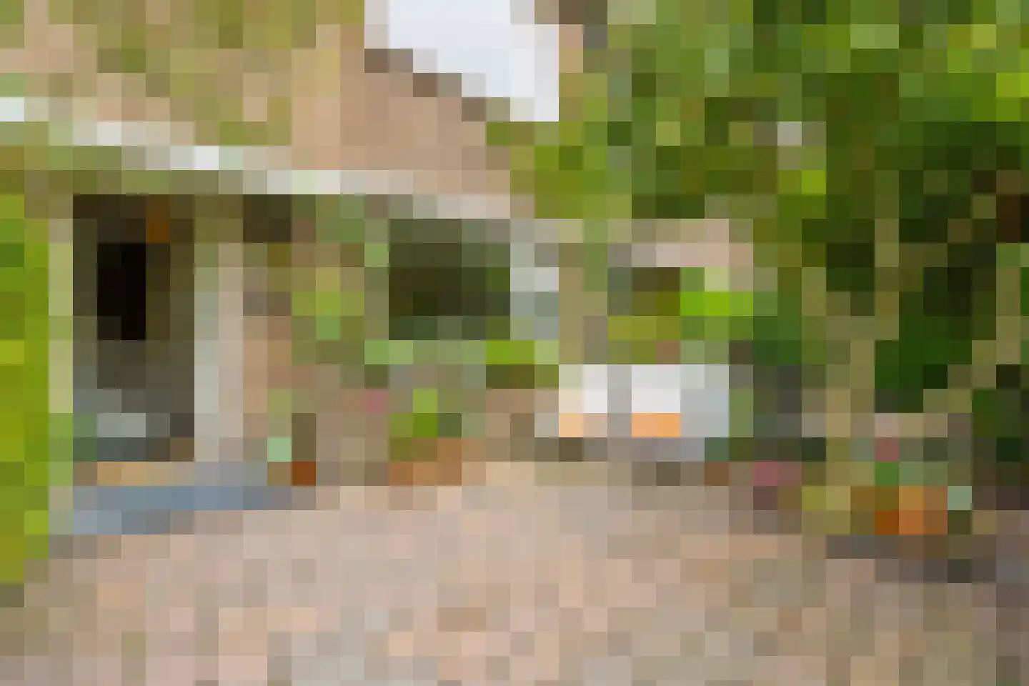 Laan van Rustenburg 18 Voorburg foto 2