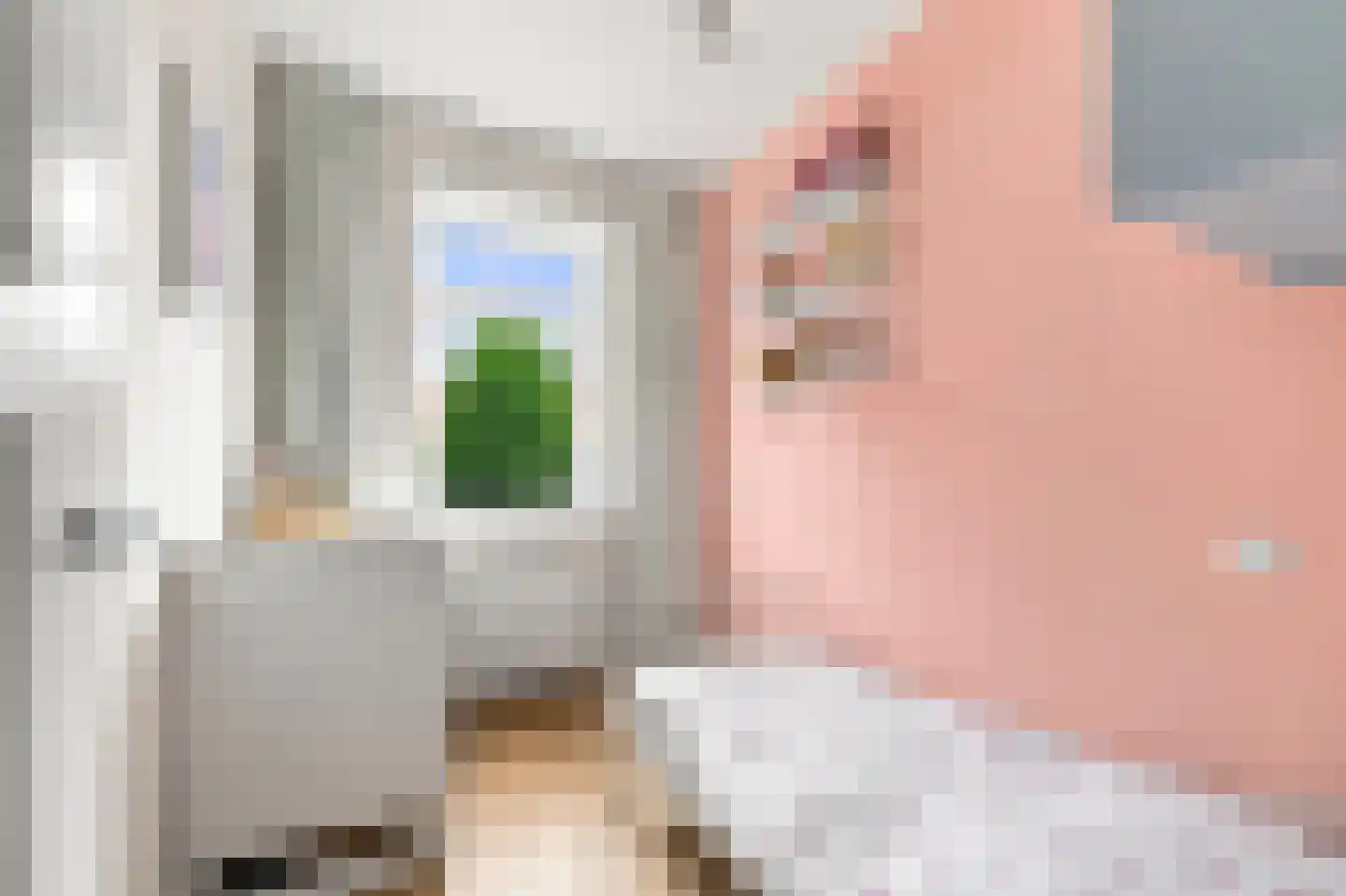 Laan van Rustenburg 18 Voorburg thumbnail 22