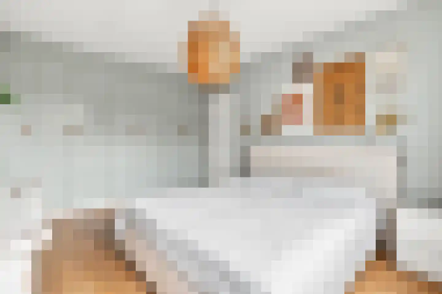 Laan van Rustenburg 18 Voorburg thumbnail 27