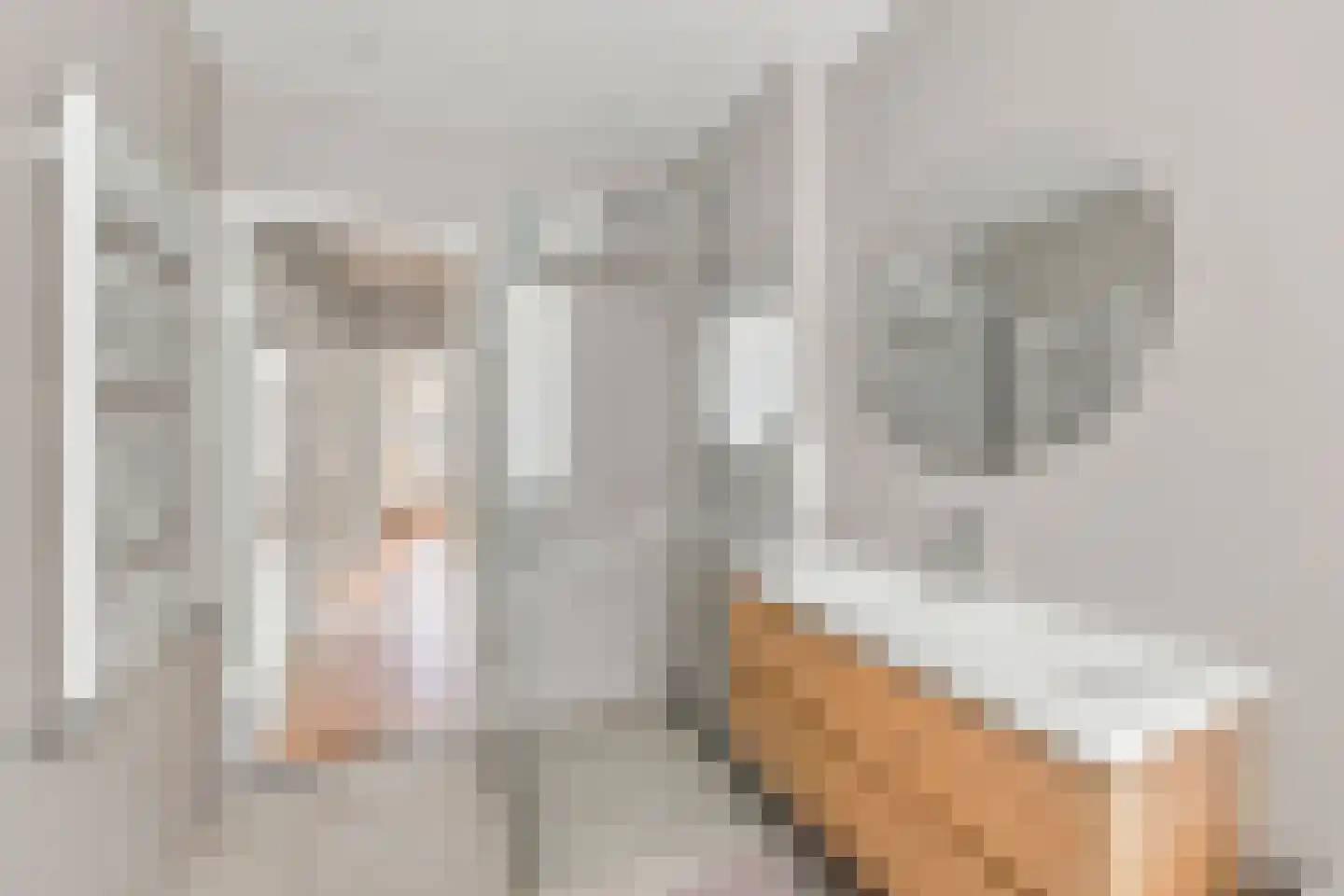 Laan van Rustenburg 18 Voorburg thumbnail 29
