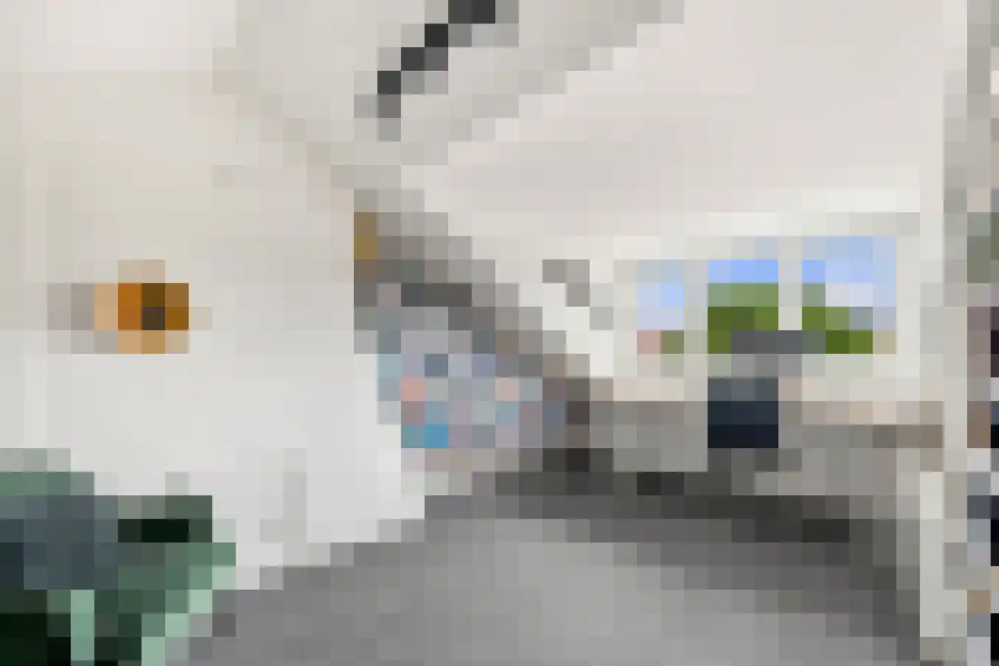 Laan van Rustenburg 18 Voorburg thumbnail 33