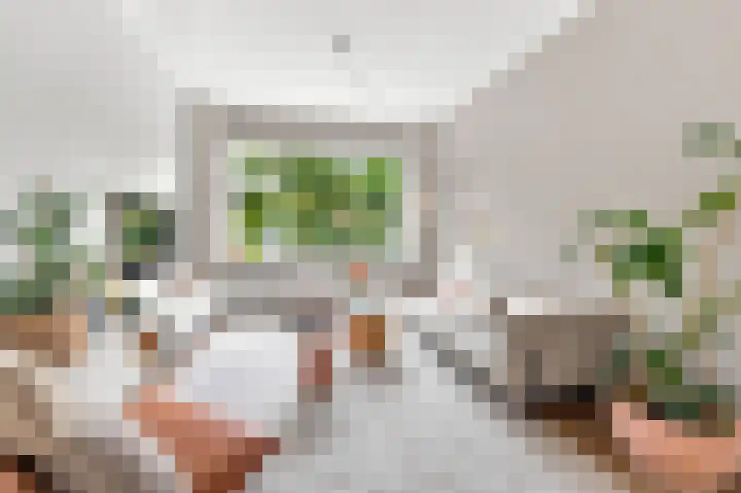 Laan van Rustenburg 18 Voorburg thumbnail 8