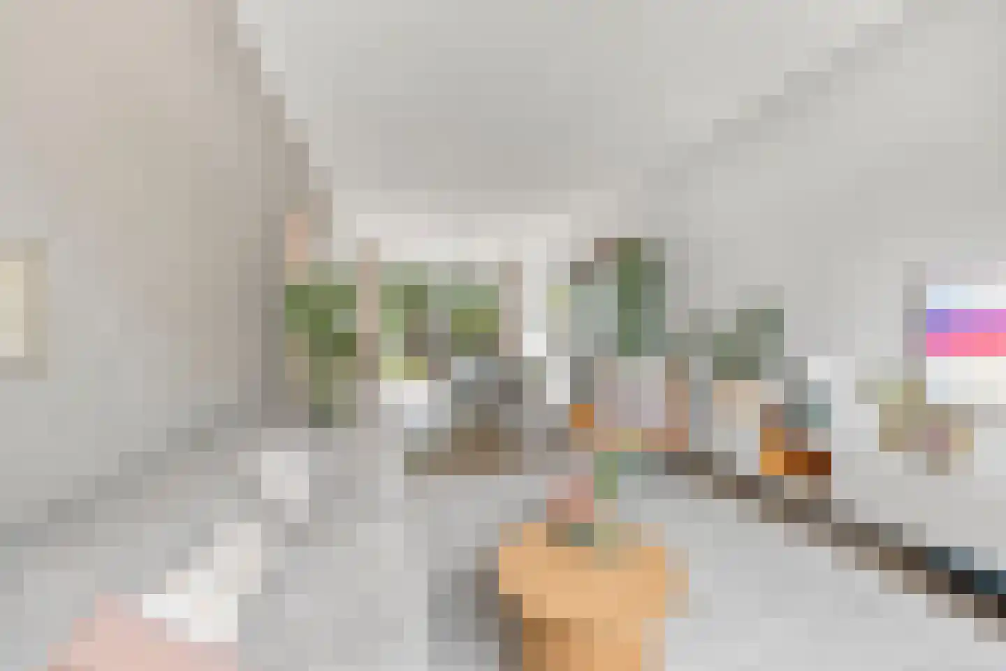 Laan van Rustenburg 18 Voorburg thumbnail 9