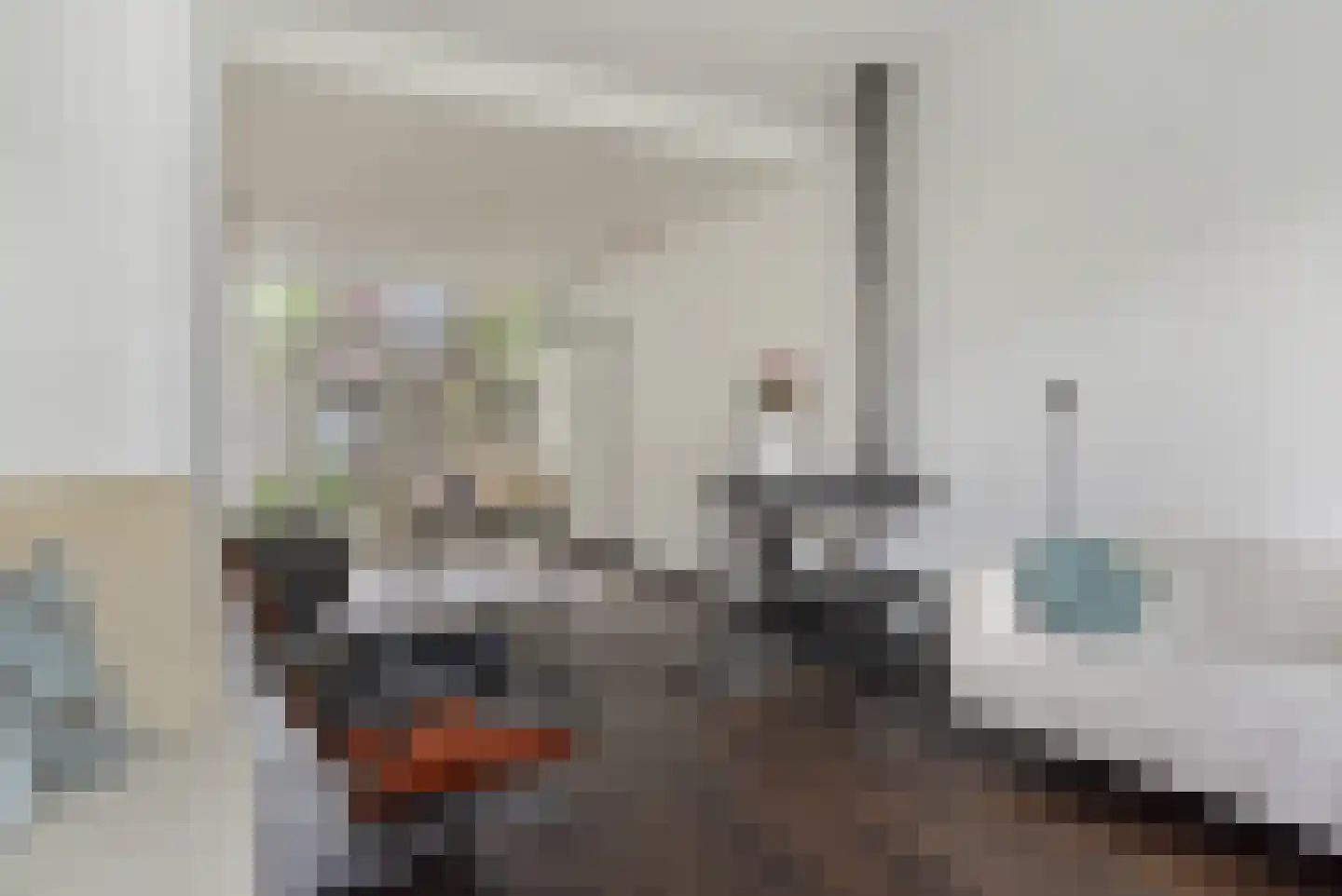 Laan van Rustenburg 29 Voorburg thumbnail 17